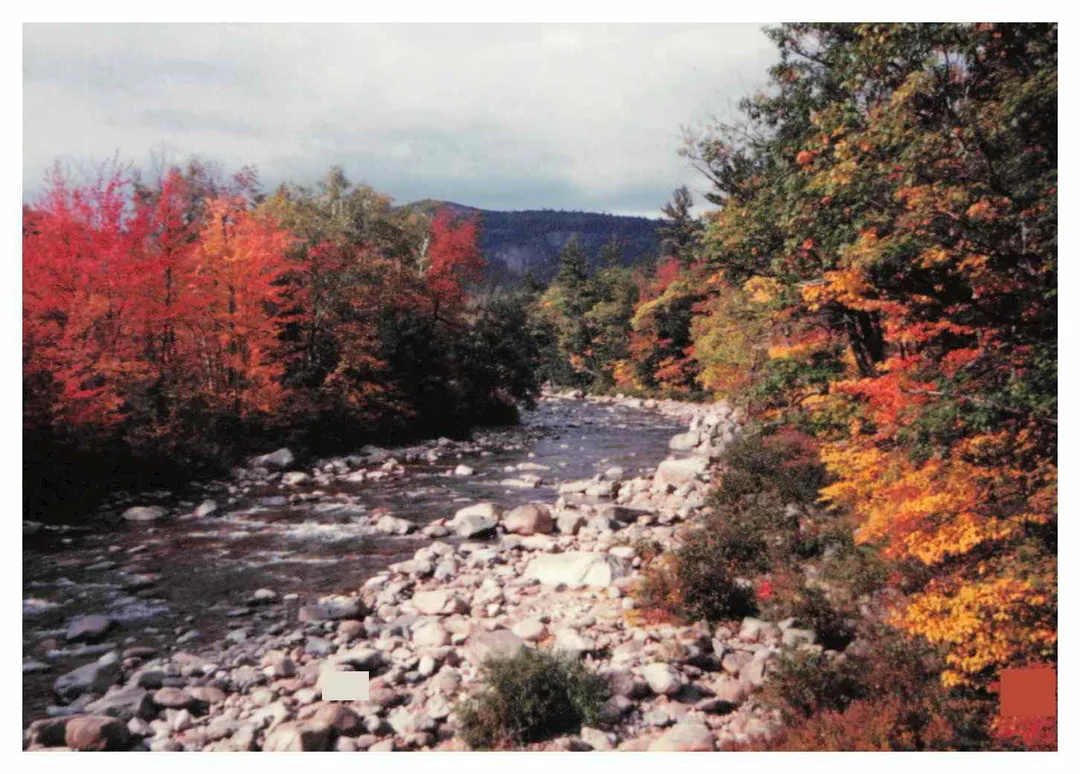 New England river surrounded by orange, green and yellow trees